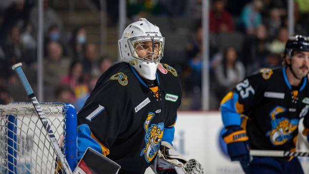 Toledo Walleye goaltender Billy Christopoulos