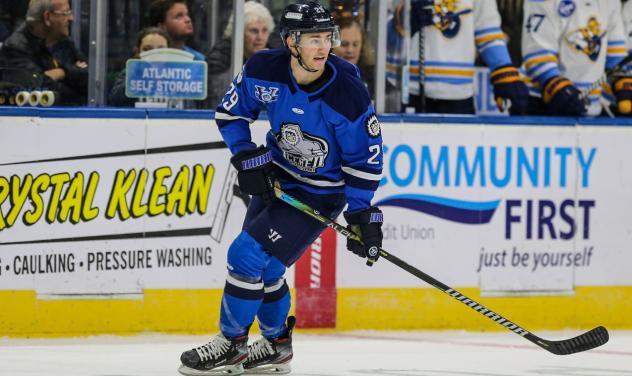 Jacksonville Icemen forward Craig Martin
