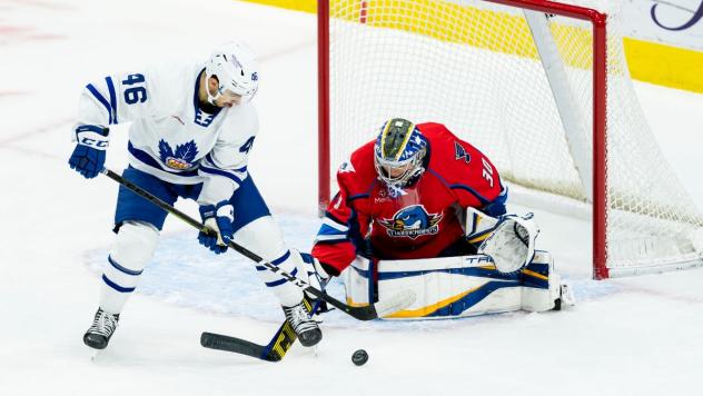 Springfield Thunderbirds goaltender Joel Hofer vs. the Toronto Marlies