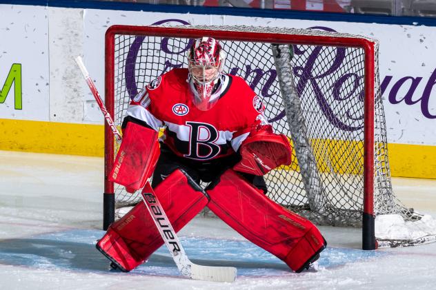 Belleville Senators goaltender Filip Gustavsson