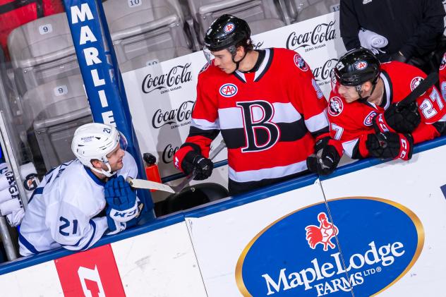 Belleville Senators and Toronto Marlies chat on the bench