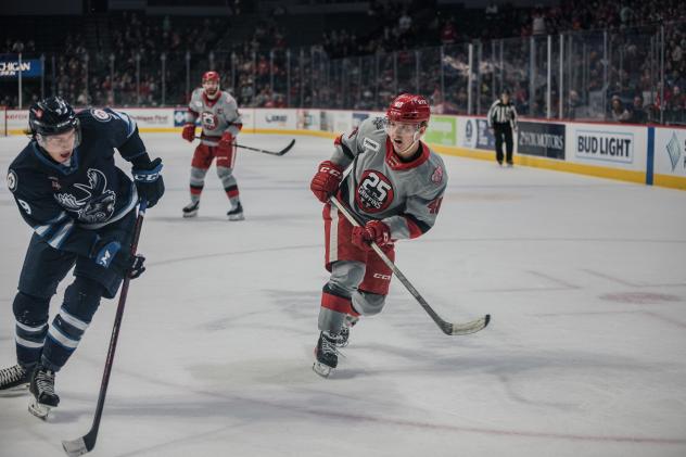 Grand Rapids Griffins left wing Jonatan Berggren vs. the Manitoba Moose