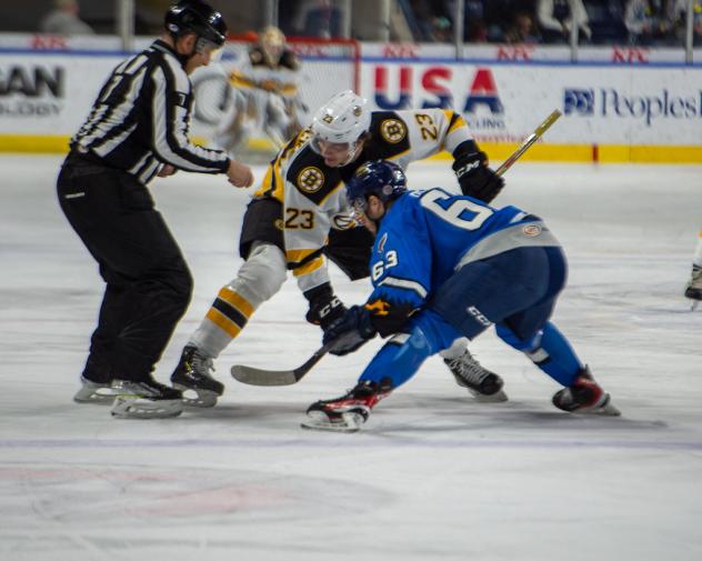 Springfield Thunderbirds center Matthew Peca (right) faces off with the Providence Bruins