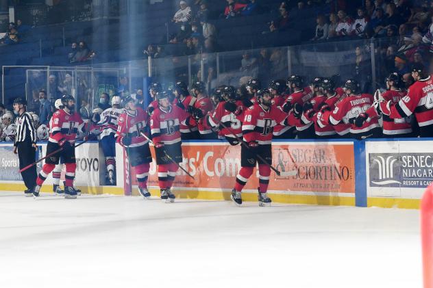 Belleville Senators exchange congratulations along with the bench vs. the Rochester Americans