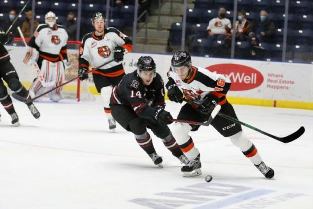 Medicine Hat Tigers right wing Corson Hopwo (right) eyes the puck vs. the Red Deer Rebels