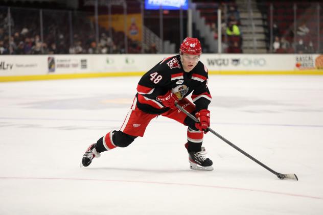 Grand Rapids Griffins left wing Jonatan Berggren