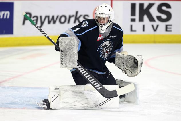 Winnipeg ICE goaltender Noah Stenvig