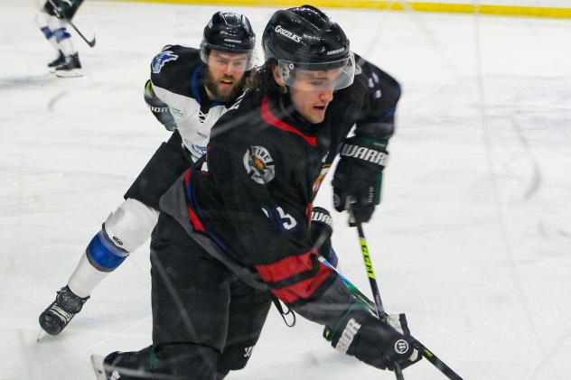 Utah Grizzlies forward Nick Henry