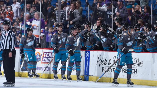 Orlando Solar Bears exchange congratulations along the bench