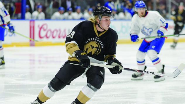 Orrin Centazzo of the Newfoundland Growlers