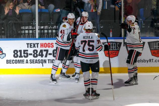 Rockford IceHogs celebrate a goal