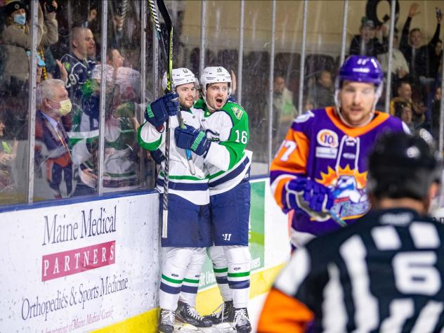 Maine Mariners react after a goal against the Orlando Solar Bears