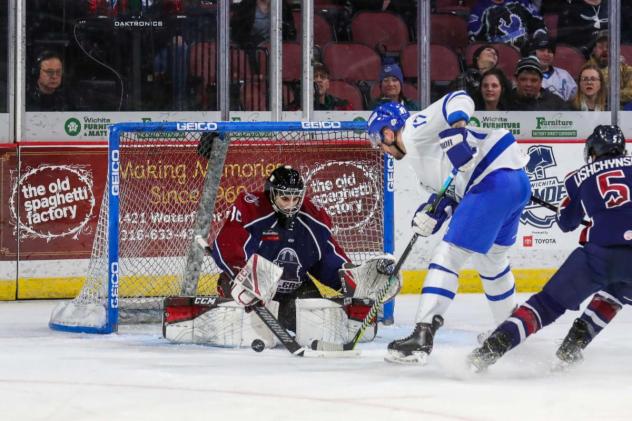 Tulsa Oilers goaltender Daniel Mannella