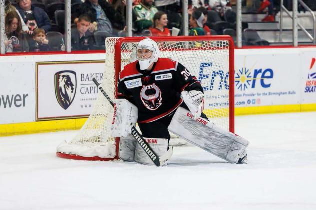 Birmingham Bulls goaltender Hayden Stewart