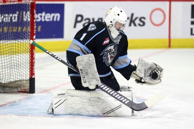 Winnipeg ICE goaltender Noah Stenvig