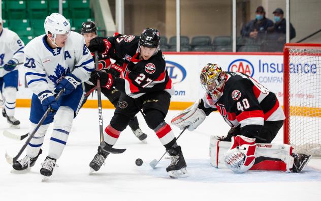 Belleville Senators goaltender Mads Sogaard vs. the Toronto Marlies