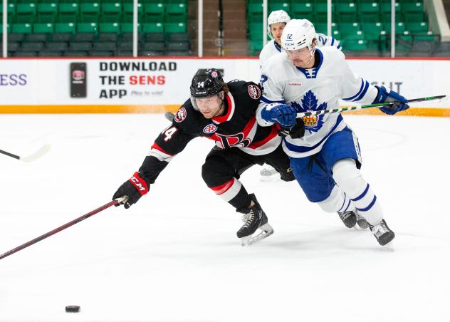 Belleville Senators battle the Toronto Marlies