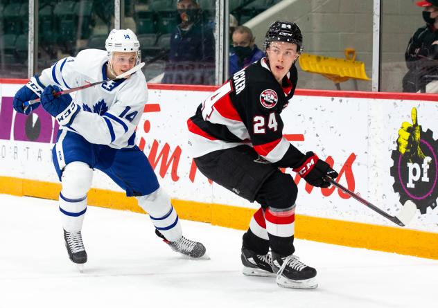 Belleville Senators defenceman Jacob Bernard-Docker (right) vs. the Toronto Marlies