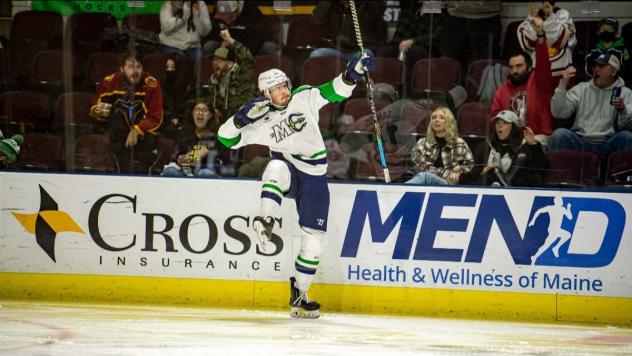 Maine Mariners react after a goal