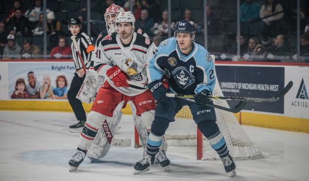 Grand Rapids Griffins defenseman Blake Hillman (left)