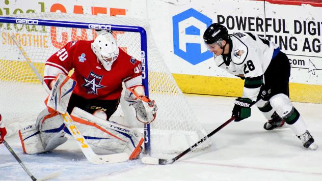 Allen Americans goaltender Francis Marotte