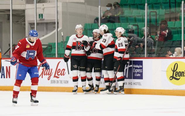 Belleville Senators celebrate a goal vs. the Laval Rocket
