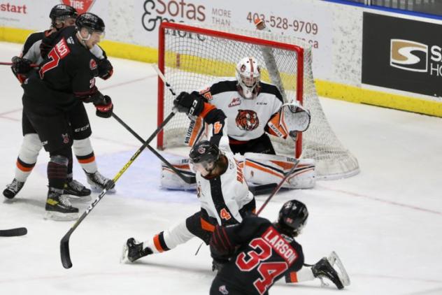 Medicine Hat Tigers goaltender Beckett Langkow vs. the Moose Jaw Warriors