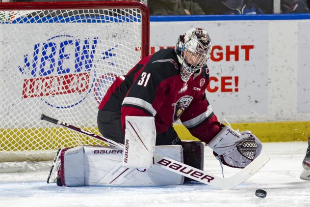 Vancouver Giants goaltender Will Gurski collects a puck against the Seattle Thunderbirds