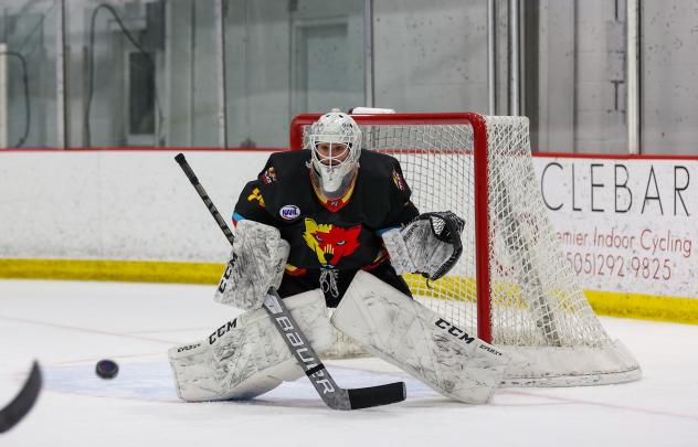 New Mexico Ice Wolves goaltender Beni Halasz