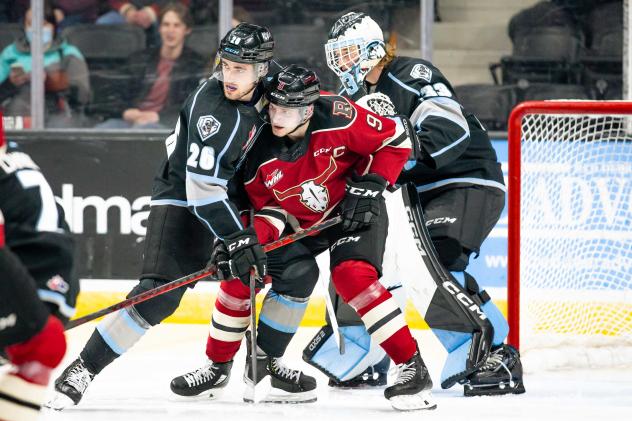 Winnipeg ICE battle the Red Deer Rebels