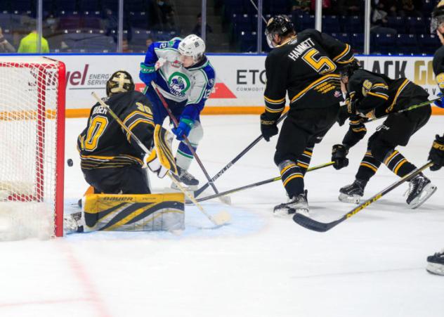 Brandon Wheat Kings goaltender Ethan Kruger vs. the Swift Current Broncos