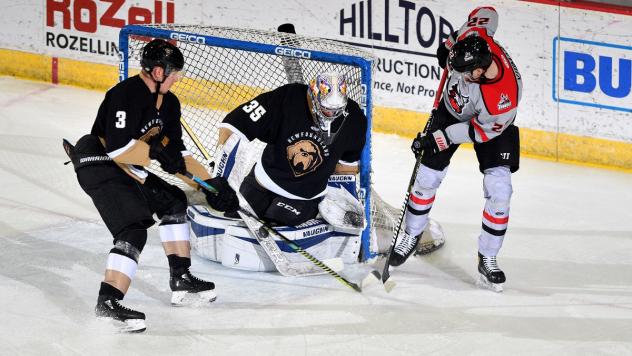 Adirondack Thunder forward Sebastian Vidmar (right) vs. the Newfoundland Growlers