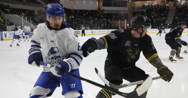 Wichita Thunder battles the Iowa Heartlanders