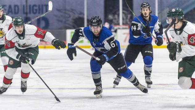 Saint John Sea Dogs right wing Jacob Chantler races after the puck vs. the Halifax Mooseheads
