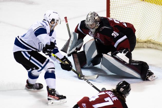 Vancouver Giants goaltender Jesper Vikman vs. the Victoria Royals