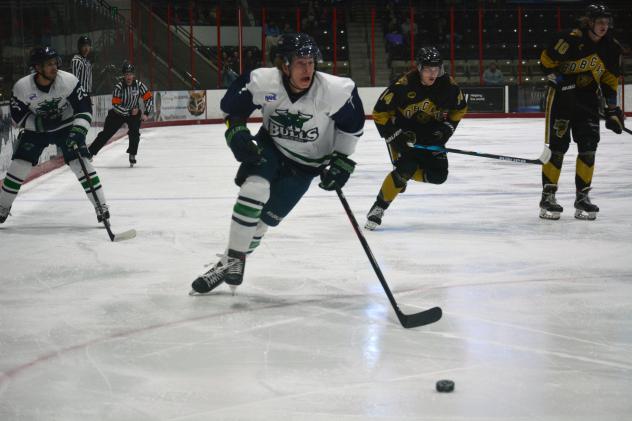North Iowa Bulls forward Dylan Gajewski