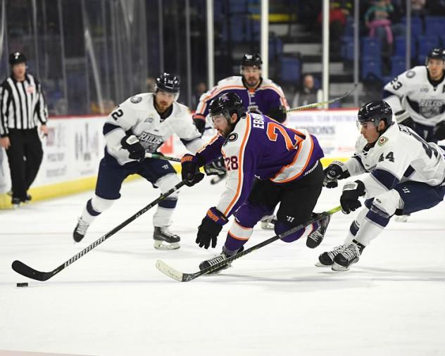 Reading Royals forward Thomas Ebbing (center) vs. the Worcester Railers