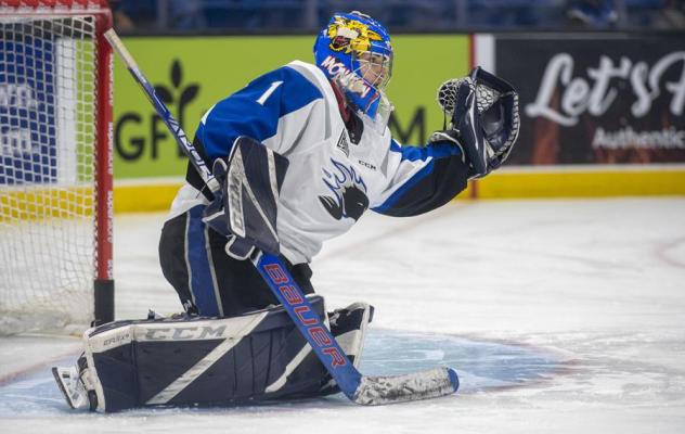 Saint John Sea Dogs goaltender Thomas Couture