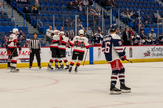 Belleville Senators celebrate a goal against the Hartford Wolf Pack