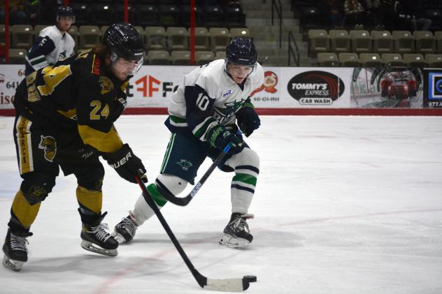 North Iowa Bulls defenseman Jack Mesic (right) battles Bismarck's Drew Holt