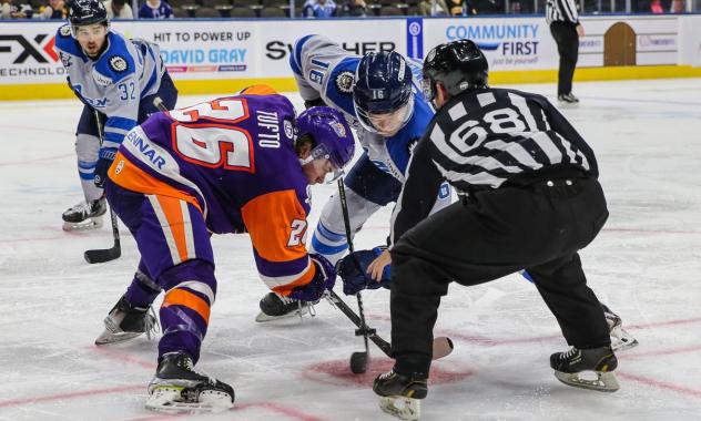 Jacksonville Icemen face off with the Orlando Solar Bears