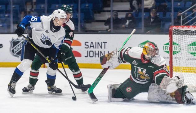 Saint John Sea Dogs left wing Raivis Kristians Ansons scores against the Halifax Mooseheads
