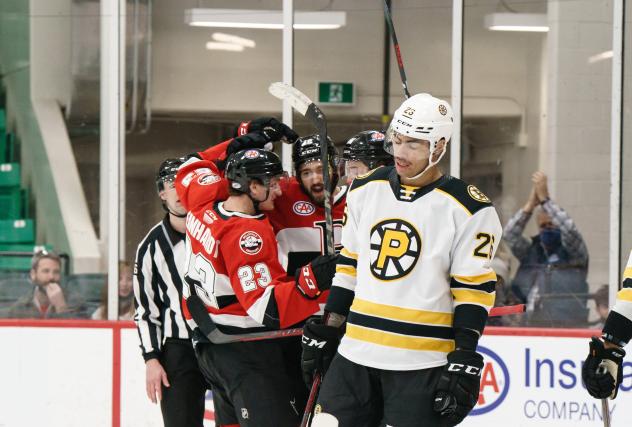 Belleville Senators celebrate a goal against the Providence Bruins