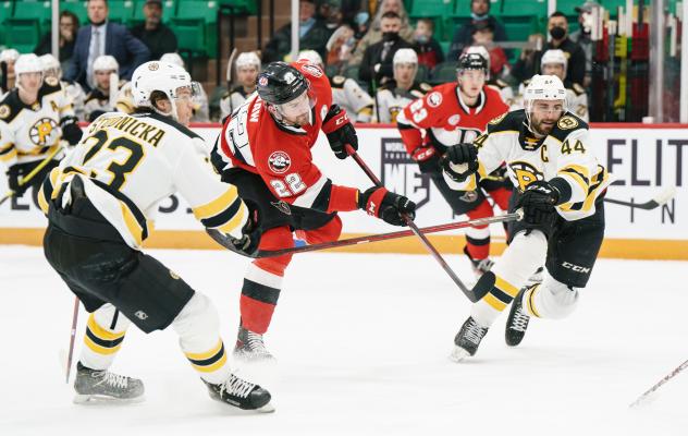 Belleville Senators right wing Logan Shaw vs. the Providence Bruins