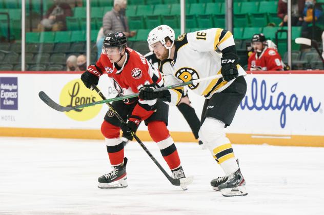Belleville Senators left wing Cole Reinhardt (back) vs. the Providence Bruins