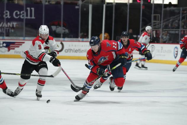 Springfield Thunderbirds defenseman Josh Wesley (right) vs. the Charlotte Checkers