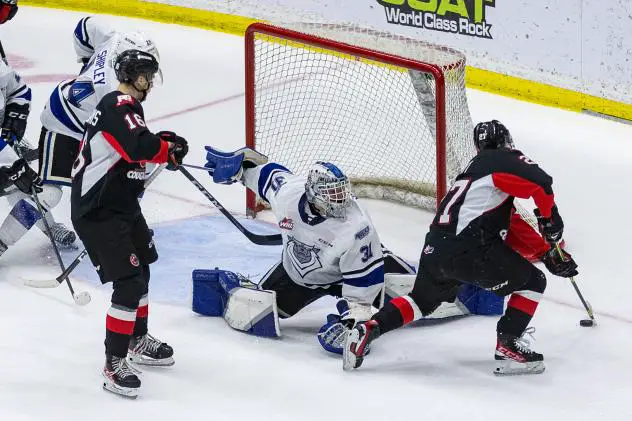 Prince George Cougars test the Victoria Royals goaltender