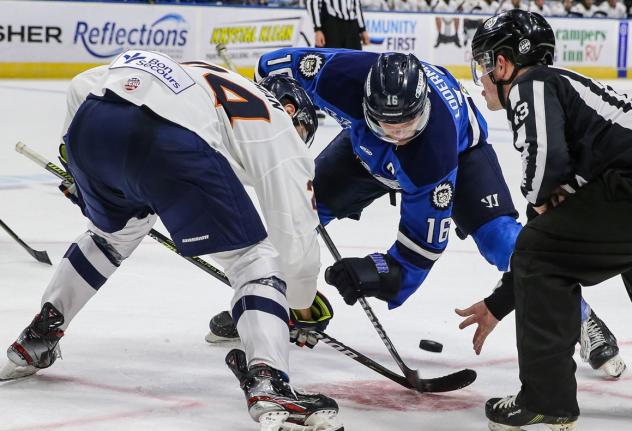 Jacksonville IceMen face off with the Greenville Swamp Rabbits