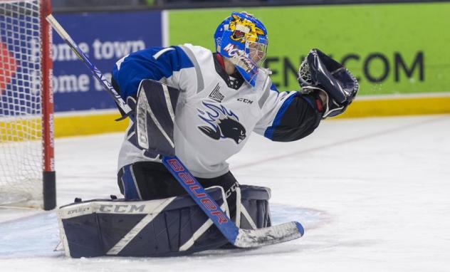 Saint John Sea Dogs goaltender Thomas Couture