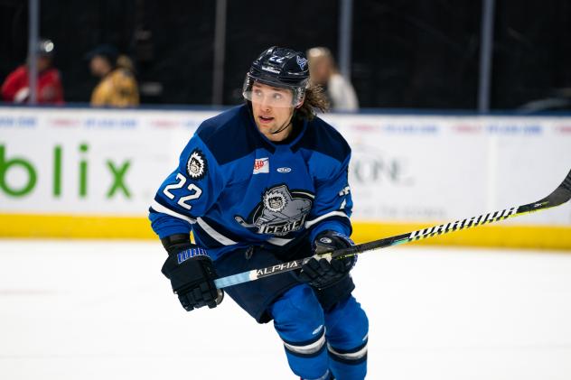 Jacksonville Icemen forward Ara Nazarian